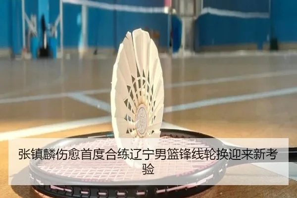 张镇麟伤愈首度合练辽宁男篮锋线轮换迎来新考验
